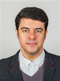 Meisam Mohammadi Amin